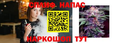 ешки Камышлов