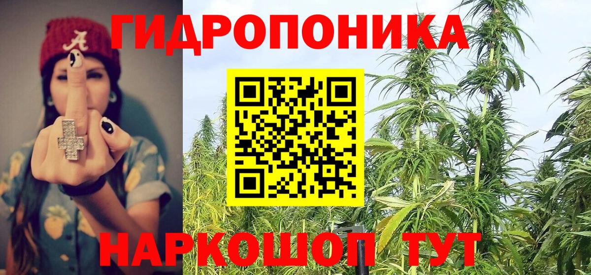 Канабис OG Kush Пенза